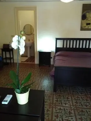 Superior Tek Büyük Yataklı Oda, Banyolu/Duşlu