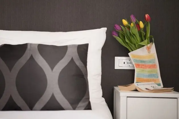 Deluxe Tek Büyük Yataklı Oda, 1 Büyük (Queen) Boy Yatak