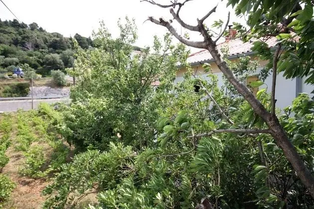 Apart Daire (Ivans - with parking - A1(4+1))