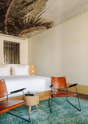 Premium Oda, 1 En Büyük (King) Boy Yatak, Sigara İçilmez, Şehir Manzaralı