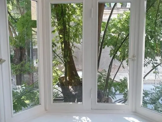 Standard Dört Kişilik Oda (202)