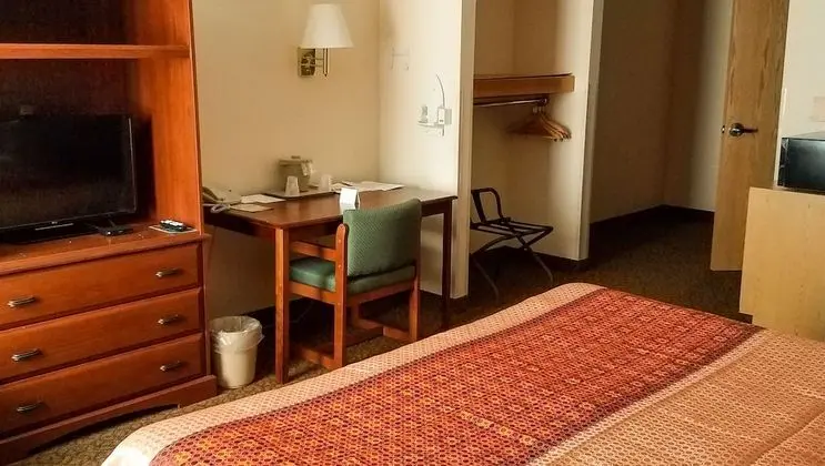 Oda, 1 En Büyük (King) Boy Yatak, Engellilere Uygun, Sigara İçilmez (Ensuite)