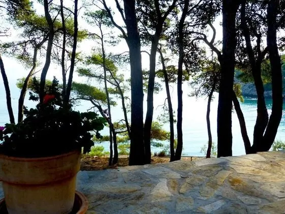 Apart Daire (Ivica - 40 m from beach - A1(4))