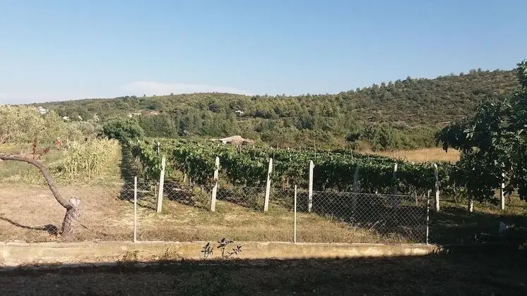 Apart Daire (Ivo - 0,5 km from sandy beach - A2(6+)