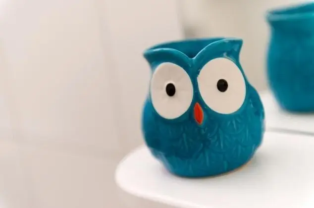 Tek Büyük Yataklı Oda (Double Room with External Private Bat)