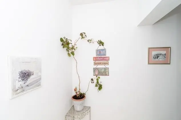 Tek Büyük Yataklı Oda (Double Room with External Private Bat)