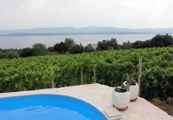 Ev (Ivo - house with pool - H(4+1))