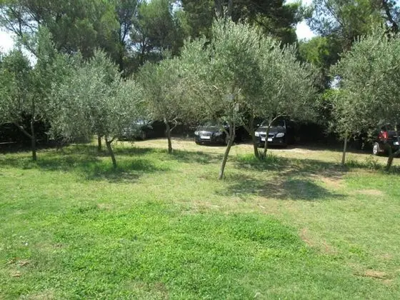 Apart Daire (Ivo - with parking - A1(2+1))