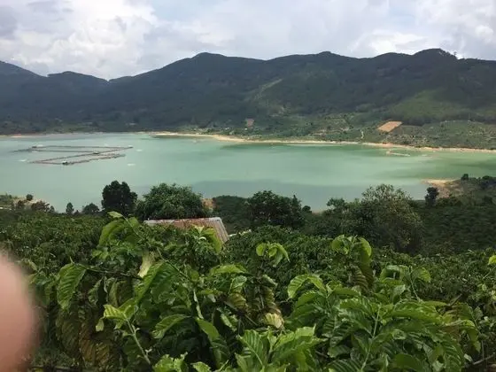 Panoramic Bungalov
