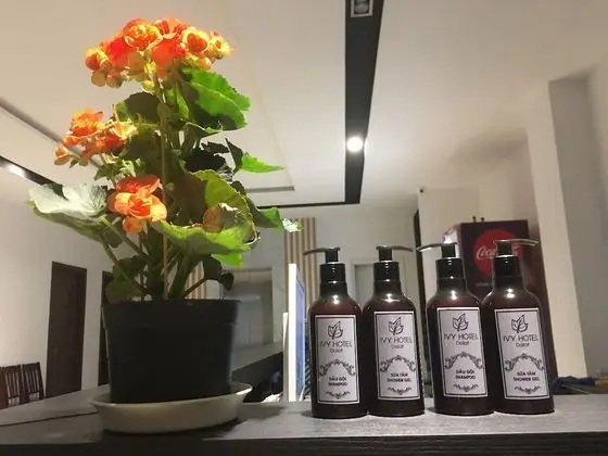 Deluxe Oda, Şehir Manzaralı