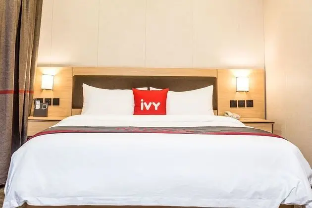 Superior Tek Büyük Yataklı Oda, 1 Yatak Odası