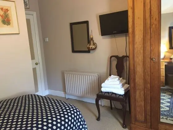 Executive Tek Kişilik Oda, 1 Tek Kişilik Yatak, Banyolu/Duşlu