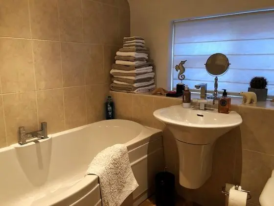 Executive Tek Kişilik Oda, 1 Tek Kişilik Yatak, Banyolu/Duşlu
