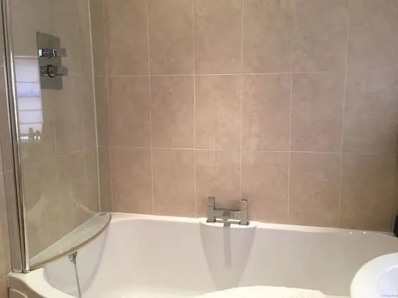 Executive Tek Kişilik Oda, 1 Tek Kişilik Yatak, Banyolu/Duşlu