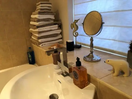 Executive Tek Kişilik Oda, 1 Tek Kişilik Yatak, Banyolu/Duşlu