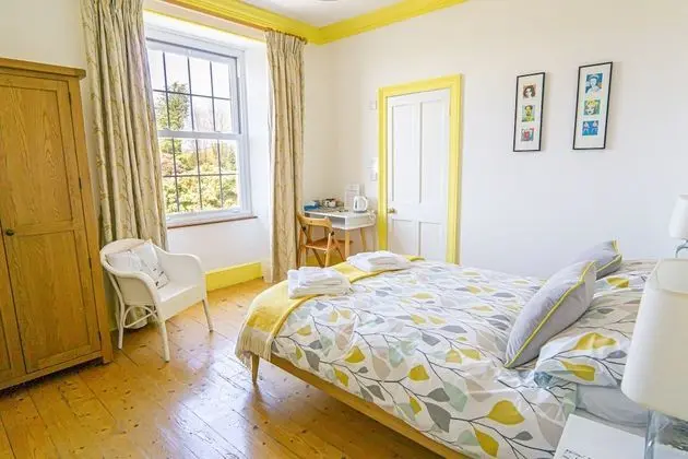 Deluxe Tek Büyük Yataklı Oda (Room 2)