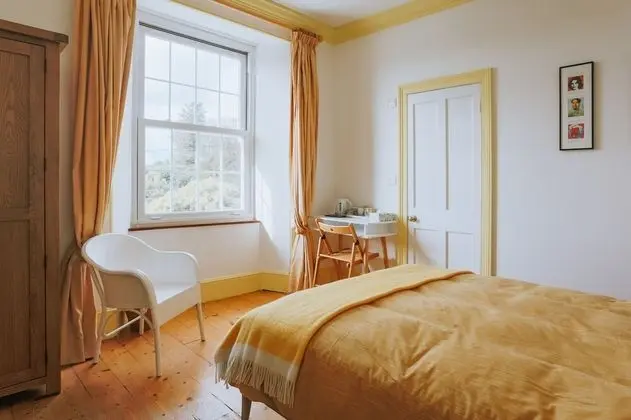 Deluxe Tek Büyük Yataklı Oda (Room 2)