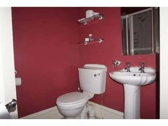 Tek Büyük Yataklı Oda, Banyolu/Duşlu (Shower)