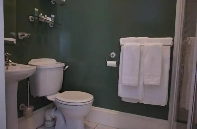 Tek Büyük Yataklı Oda, Banyolu/Duşlu (Shower)