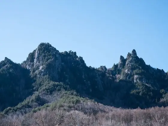 Traditional Oda (Japanese Style)