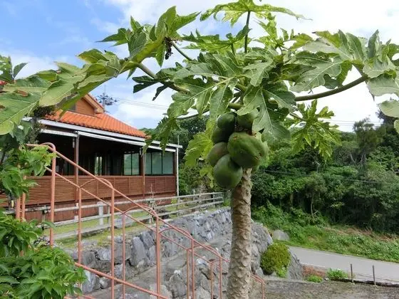 Basic Ev, Bahçe Manzaralı