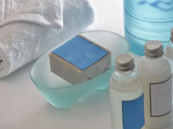 1 Çift Kişilik Veya 2 Tek Kişilik Yatak Deluxe