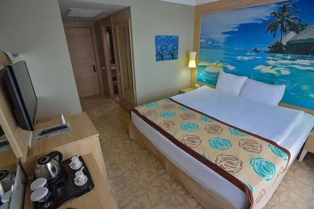 Tek Büyük Yataklı Oda