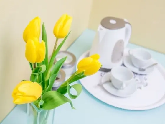Comfort Tek Büyük Yataklı Oda