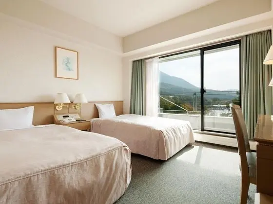 Deluxe İki Ayrı Yataklı Oda, Sigara İçilmez (With Living Room And Kitchen)