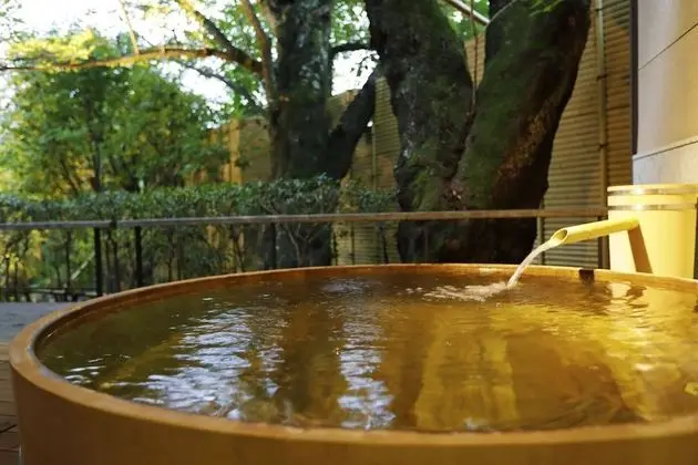 Süit (Maisonette, Open-Air Bath, Tatsuta)