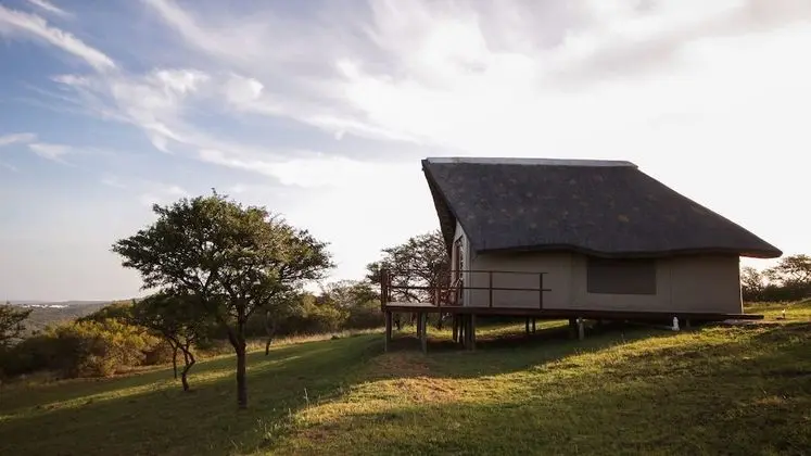 Luxury Çadır, 1 Yatak Odası (Country Safari )