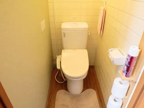 Traditional Tek Kişilik Oda, Sigara İçilmez (Japanese Style,With Shared Bathroom)