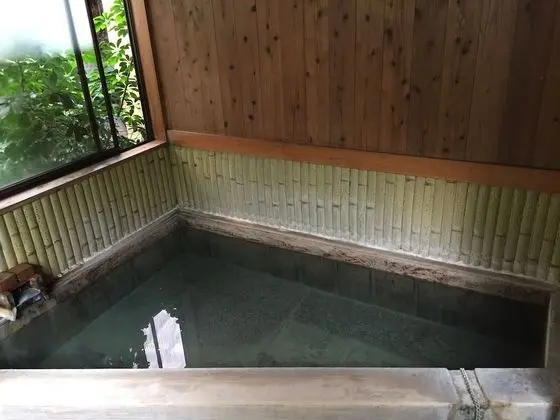 Traditional İki Ayrı Yataklı Oda, Ortak Banyo (Japanese Style)