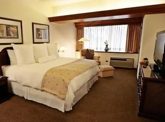 Junior Suite Simple