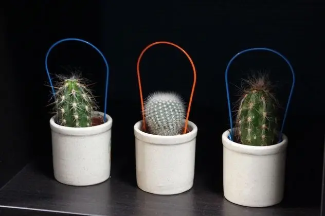 Superior Apart Daire, 1 Yatak Odası, Mutfak