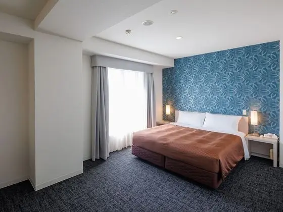 Superior Tek Büyük Yataklı Oda, Sigara İçilebilir (Queen Double Room)