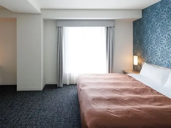 Superior Tek Büyük Yataklı Oda, Sigara İçilebilir (Queen Double Room)