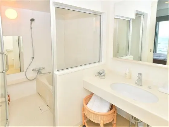 Superior Tek Büyük Yataklı Oda, Sigara İçilebilir (Queen Double Room)
