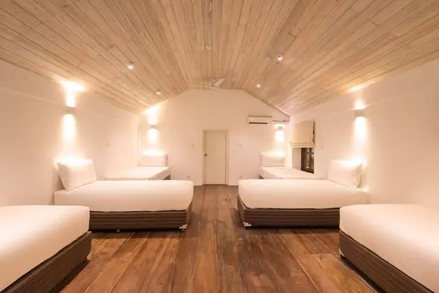 Shared Dormitory, Mixed Dorm 2
