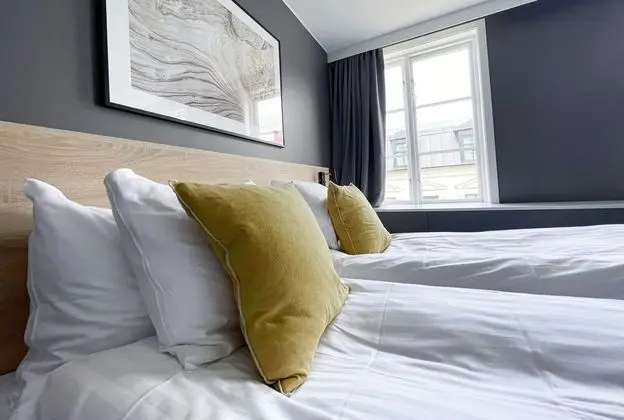 Superior Tek Büyük Yataklı Oda