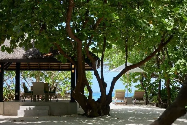 Deluxe Villa (Beach - Family Private Pool)