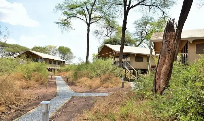 Bush View Room