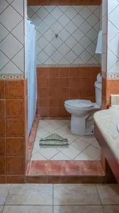 Superior Tek Büyük Yataklı Oda, 2 Büyük (Queen) Boy Yatak