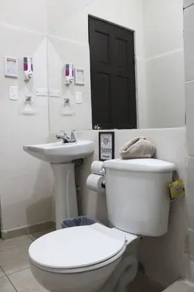 Basic Tek Büyük Yataklı Oda, Birden Çok Yatak (Quiet Room)