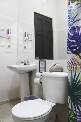 Basic Tek Büyük Yataklı Oda, Birden Çok Yatak (Quiet Room)