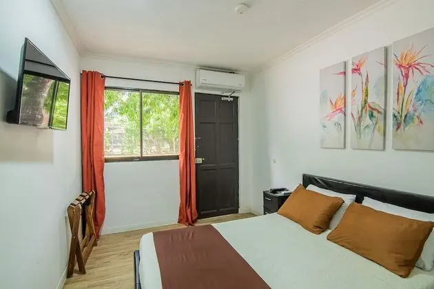 Tek Büyük Yataklı Oda, 1 Çift Kişilik Yatak