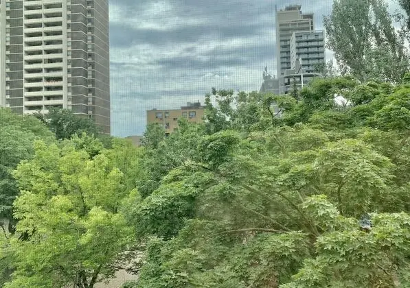City Stüdyo