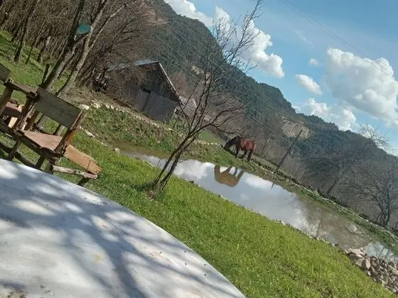 Ev, 2 Yatak Odası, Veranda