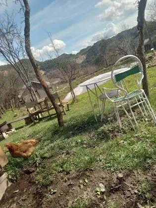 Ev, 2 Yatak Odası, Veranda