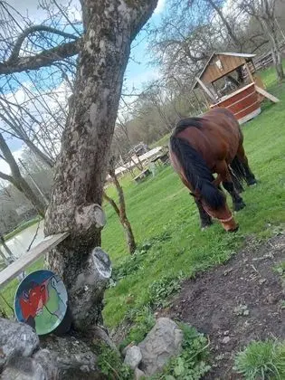 Ev, 2 Yatak Odası, Veranda